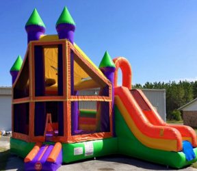 Dry Slides & Combos Dry Slides & Combos