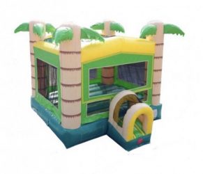 Bounce Houses Bounce Houses